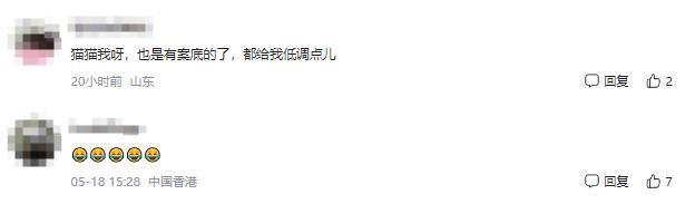 又萌又凶，泰国猫咪连环袭警被捕，拍入案照时满脸写着不服