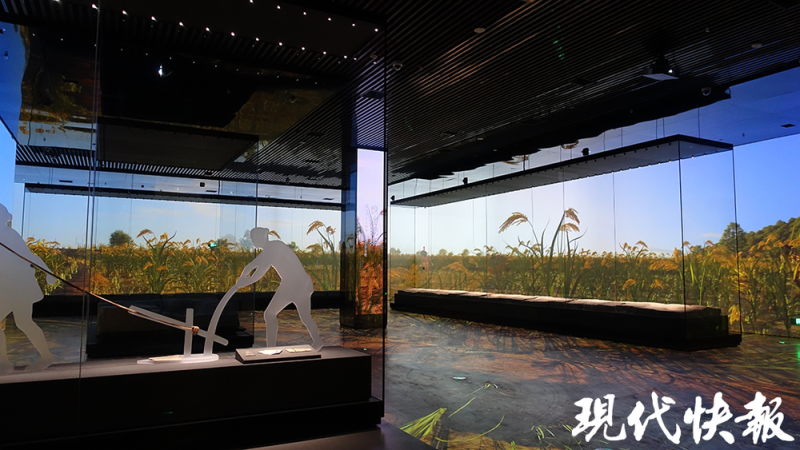 文化中国行｜考古博物馆悄然兴起，一开放即成顶流