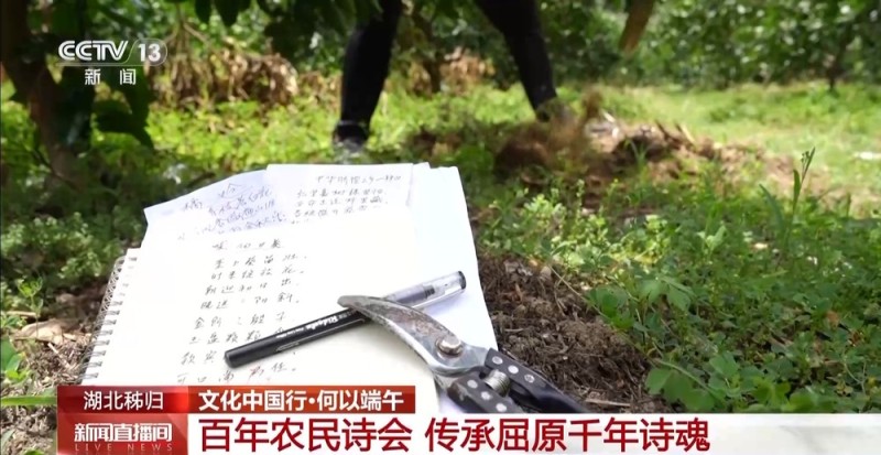 文化中国行丨在屈原故里，这里的端午是持续近一个月的节日