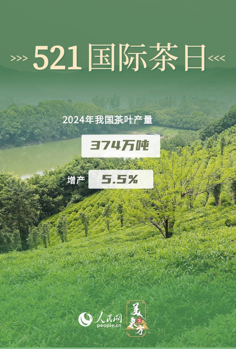 文化中国行 | 看"神奇绿叶"如何绽放经济文化双重光彩