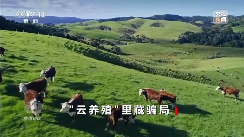 焦点访谈丨已有数万人被骗 起底“云养殖”里的骗局