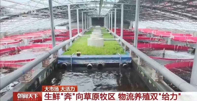 大市场 大活力｜“五一”假日餐桌海鲜热度揭秘 生蚝如何抢“鲜”出发？