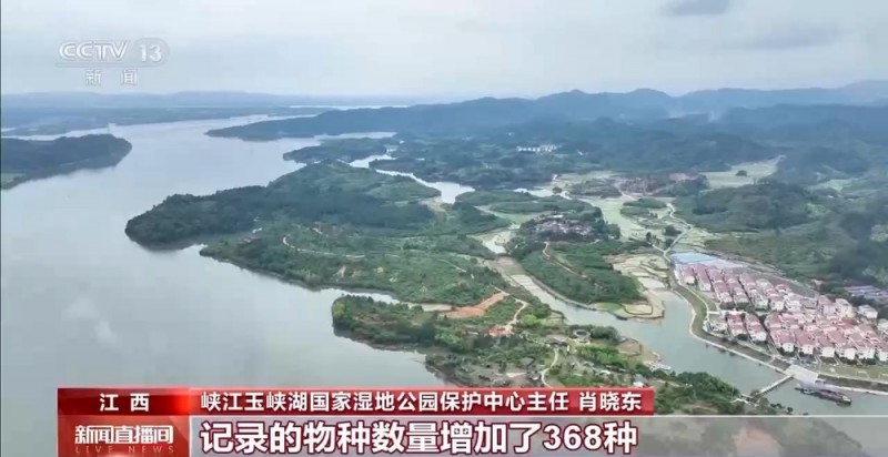 国家湿地公园创建20周年 “打开”生态产品价值实现的多种可能