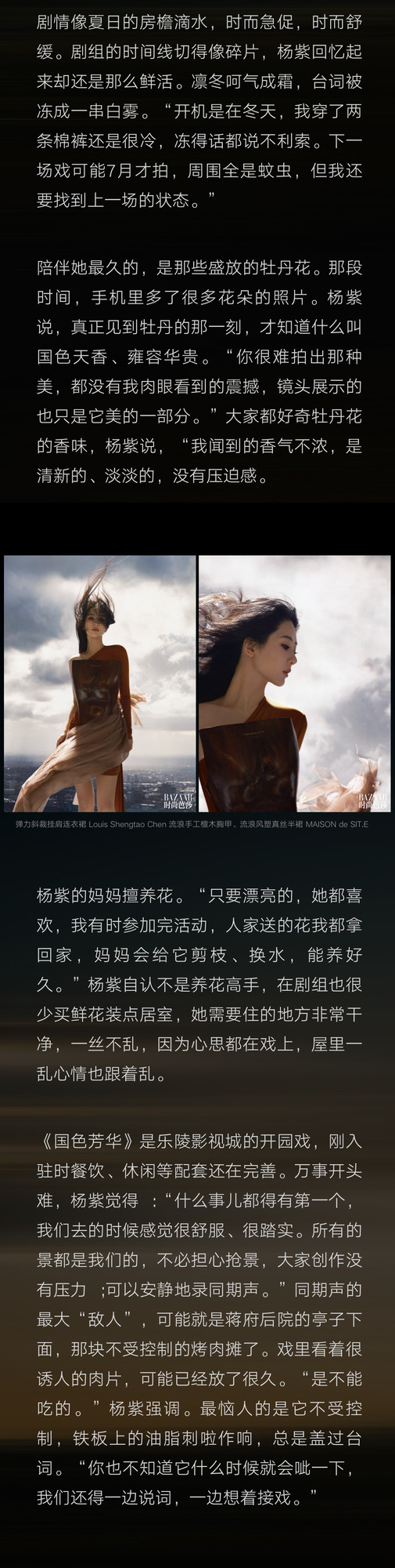 杨紫 以心为舟
