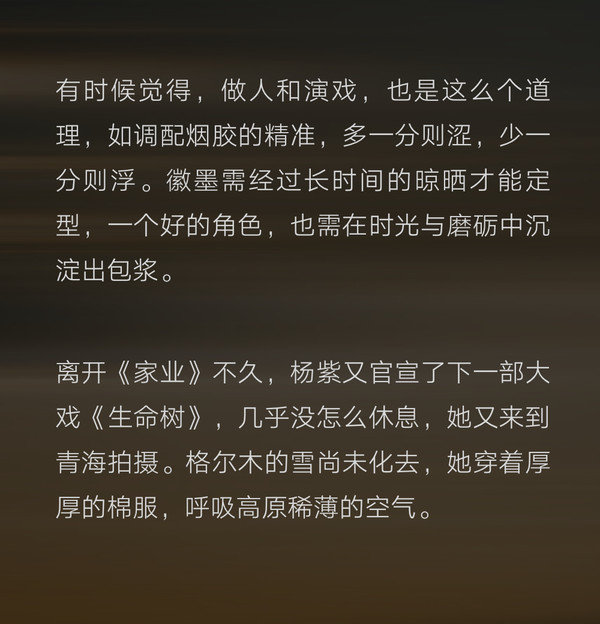 杨紫 以心为舟