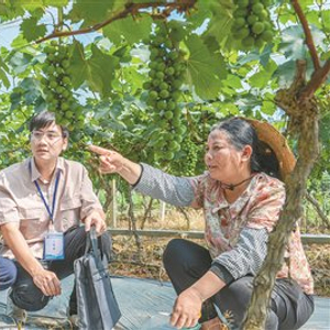 图片新闻-广西纪检监察网