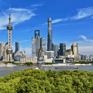时政微纪录丨习近平总书记上海行