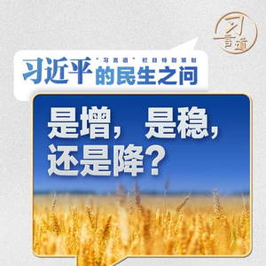 习近平的民生之问｜“是增，是稳，还是降？”