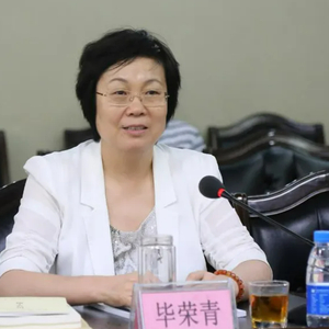正厅级毕荣青，被查