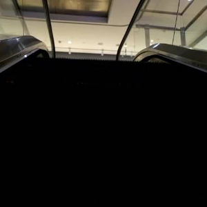时政微调查丨你好 明天
