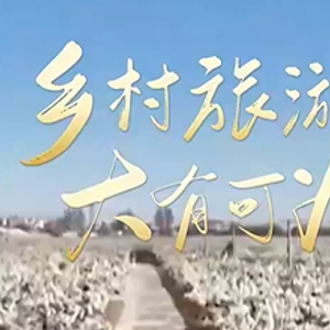 联播观察｜“花式”解锁好春光