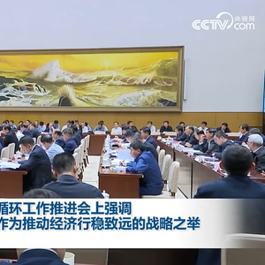 李强在做强国内大循环工作推进会上强调，把做强国内大循环作为推动经济行稳致远的战略之举
