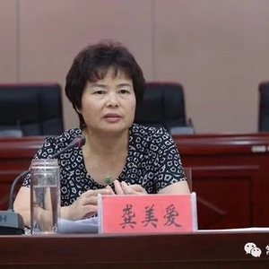 中央巡视组进驻期间，龚美爱被查