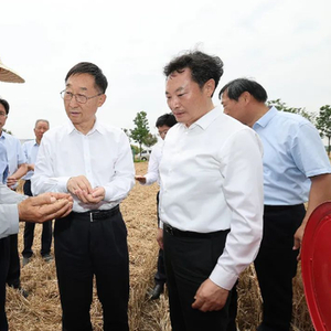 河南省委书记、省长，走进田间地头