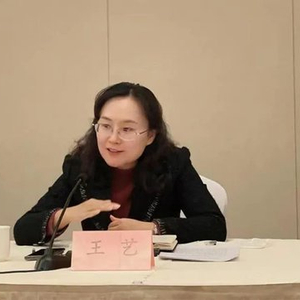 团中央书记处书记王艺，有新职