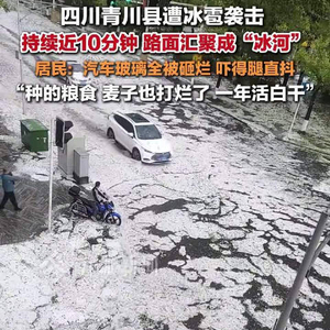 四川青川县遭冰雹袭击居民发声：没经历过如此严重的冰雹天气