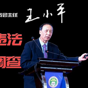 财新网：足协纪委会原主任王小平被控受贿645万元 当庭辩称无罪