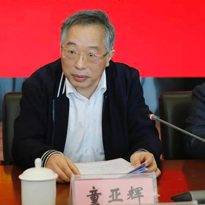 浙江省能源集团原党委书记童亚辉主动投案