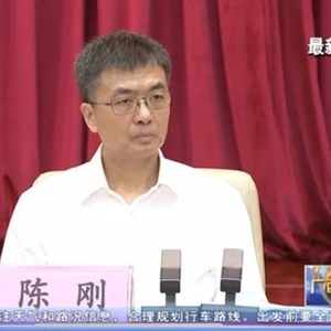 倒查十年！广西党委书记要求严肃追责，6位省部级任组长