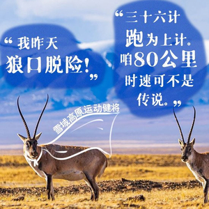 习近平特别关注的“TA们”