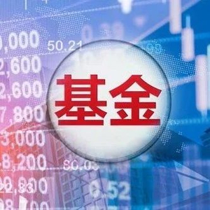 罕见！基金价格一度翻倍，紧急提示风险！发生了什么？