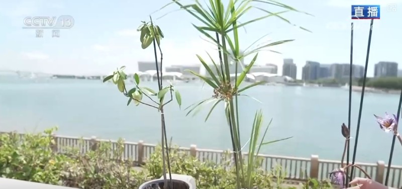 生态画卷展新“颜” 增“绿”生“金”点亮多样消费新场景