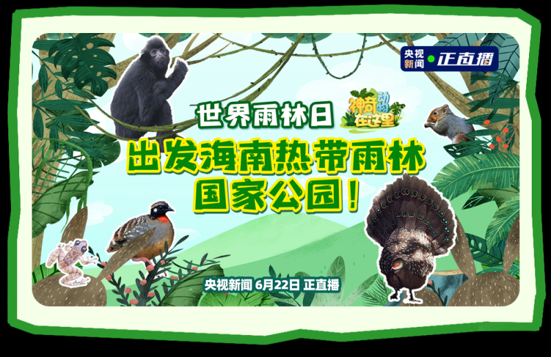 总台周末看点丨夏至，宜_____