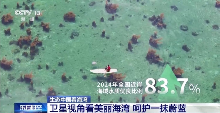 海湾“变美”关键在哪？看中国方案呵护一抹蔚蓝