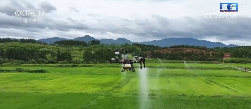 水稻品种田间“竞技”、24小时“哨兵”站岗 多维度解锁智慧“三夏”
