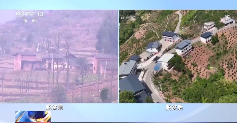 从连片贫瘠到山河锦绣 这些地方依靠产业扶贫走上致富路