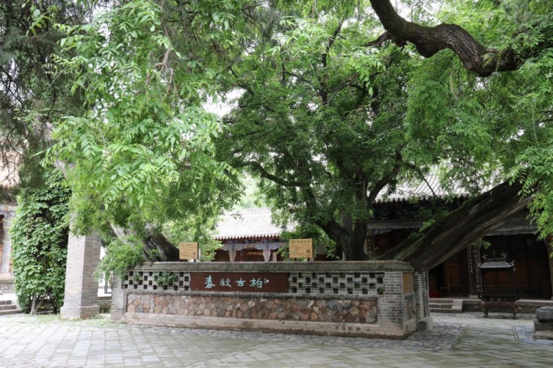 解码文化自信的城市样本|羲皇故里赋新韵――解码甘肃天水的文化自信样本