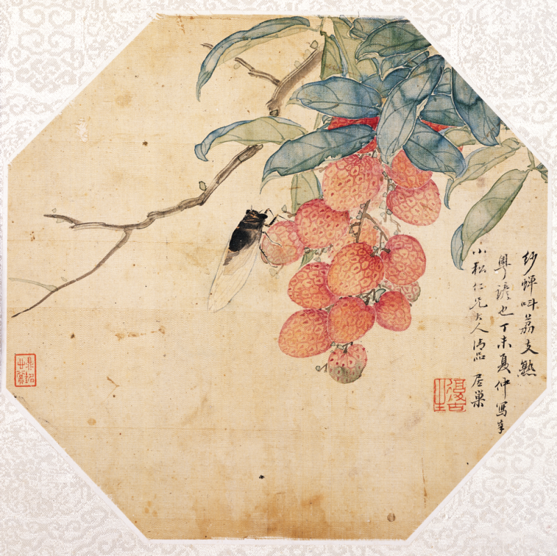 方土：对荔枝，古今画家都情有独钟  |  名家说名作・岭南佳果