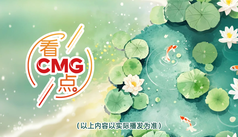 总台周末看点 | “荔”争上游！