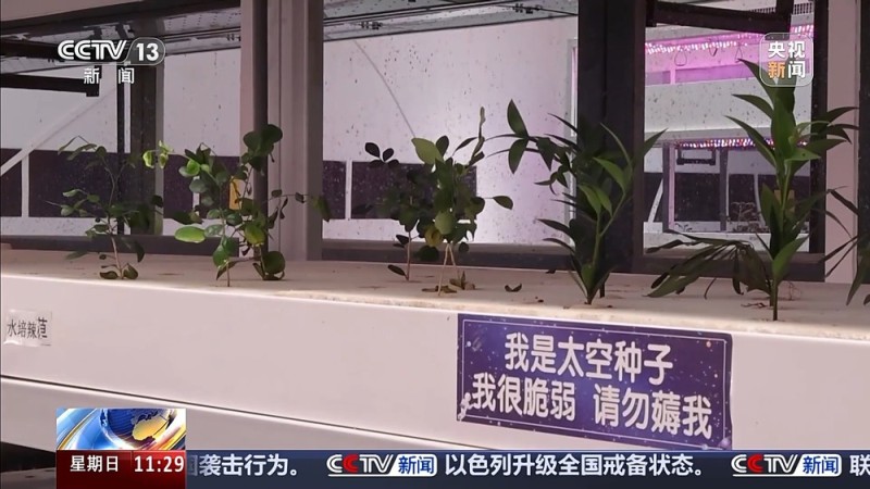 火星1号基地！“星际穿越”感拉满了
