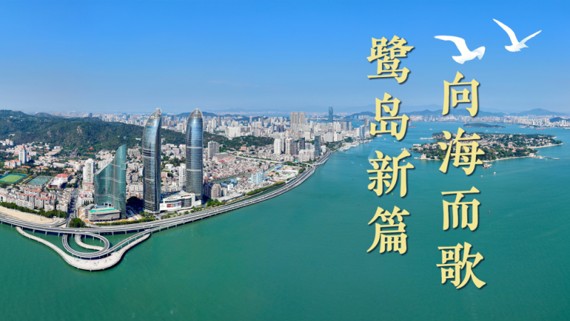 微视频｜鹭岛新篇 向海而歌