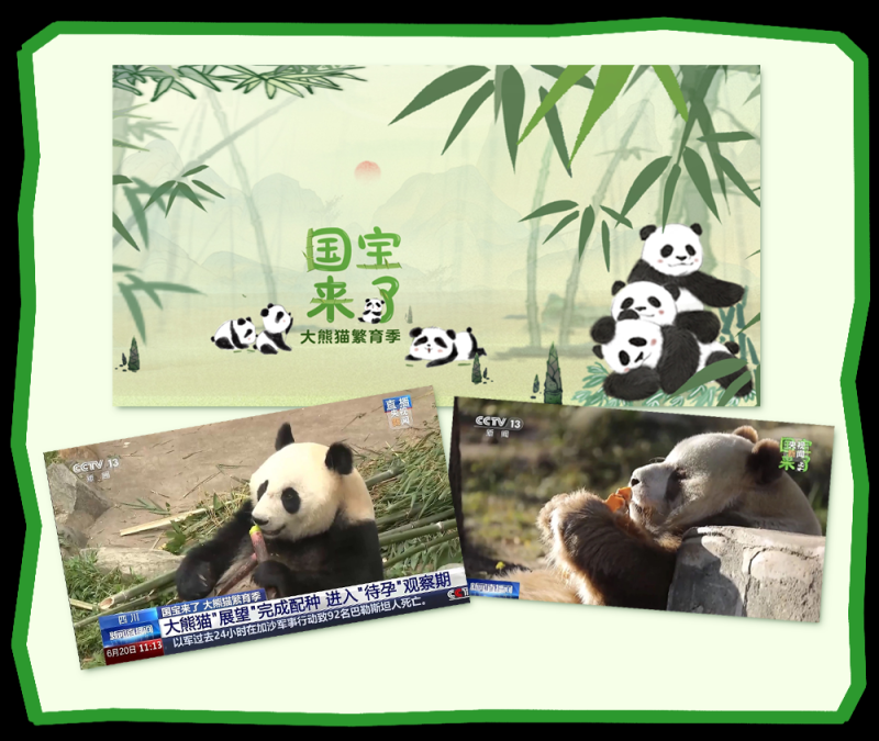 总台周末看点丨夏至，宜_____