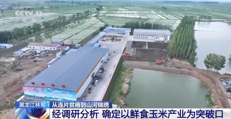 从连片贫瘠到山河锦绣 这些地方依靠产业扶贫走上致富路
