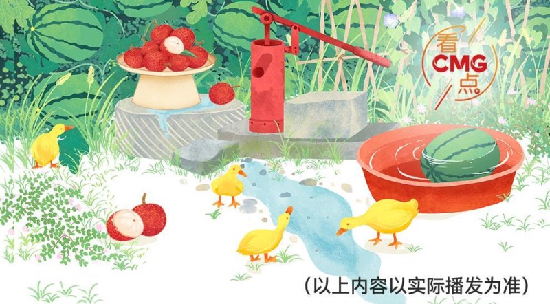 总台周看点丨“声”动一夏！