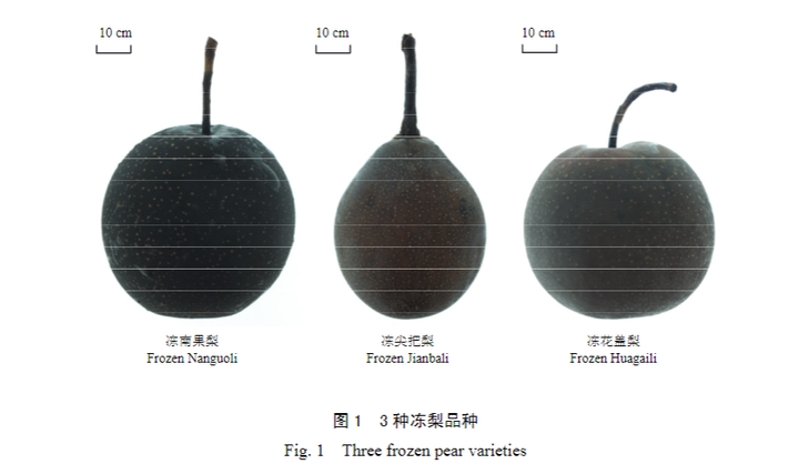 东北冻梨为什么是黑色的?