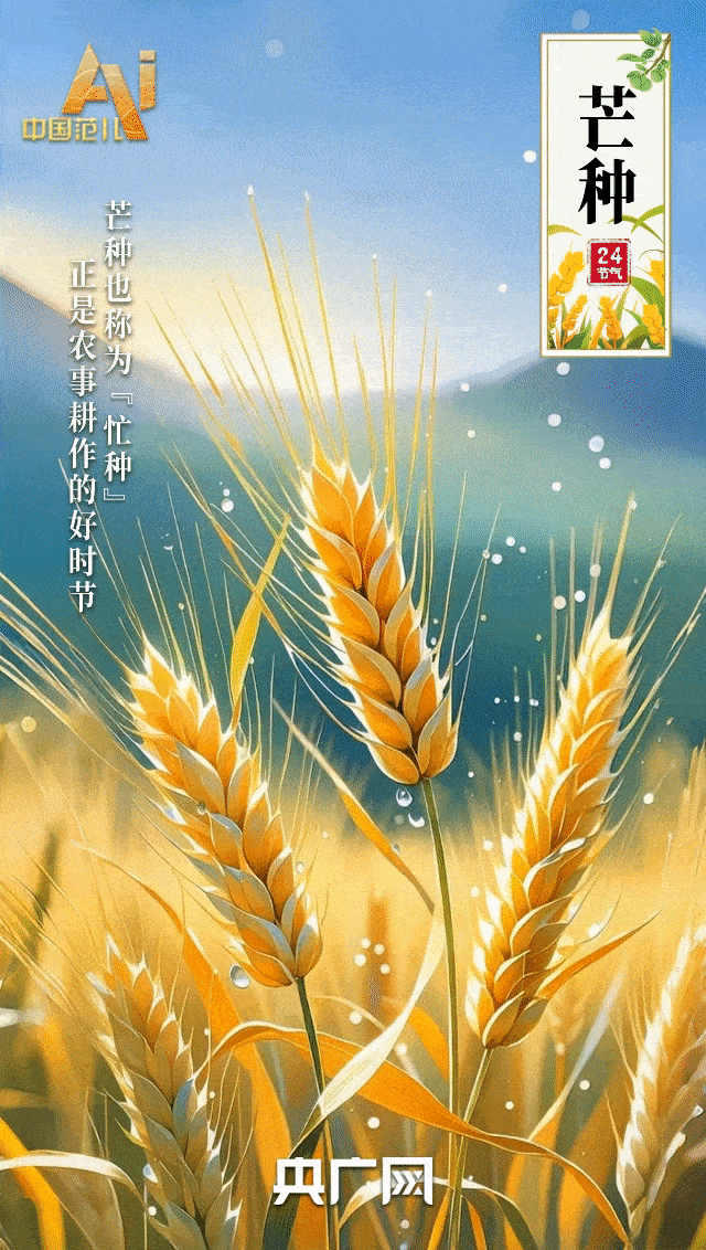 节气里的中国智慧｜“芒”有所获，“种”有所得