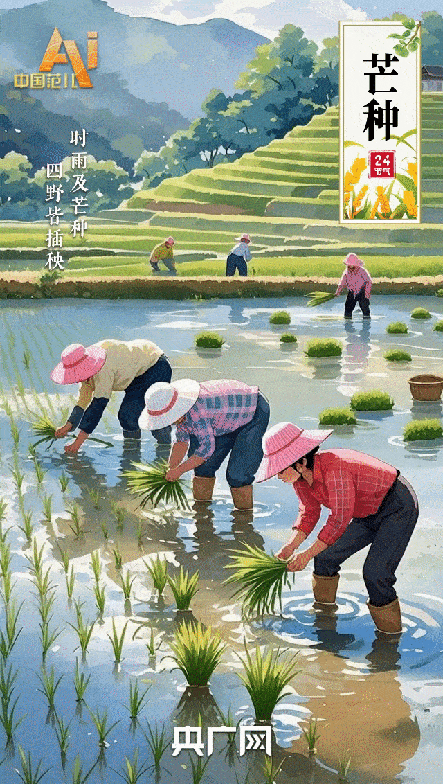 节气里的中国智慧｜“芒”有所获，“种”有所得