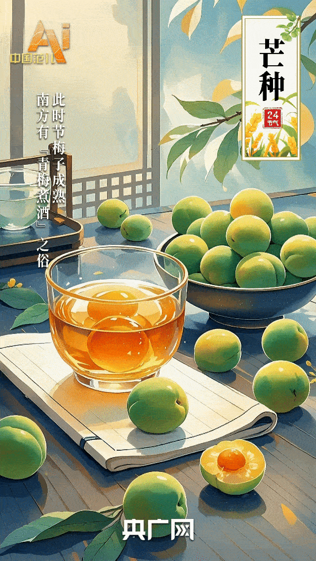 节气里的中国智慧｜“芒”有所获，“种”有所得