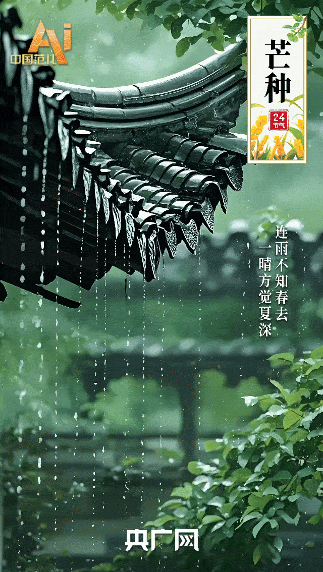 节气里的中国智慧｜“芒”有所获，“种”有所得