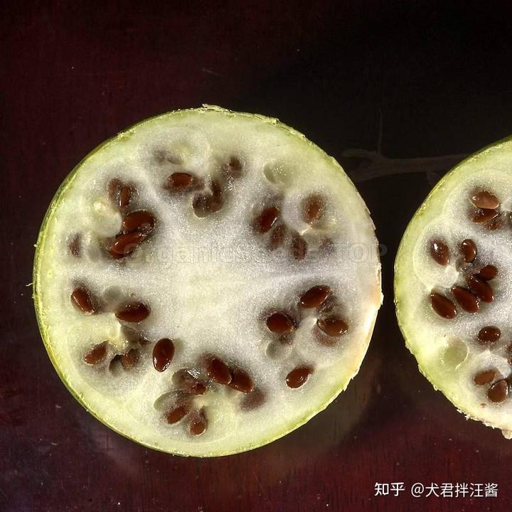 沙漠里遍地是“西瓜”为何无人敢吃?