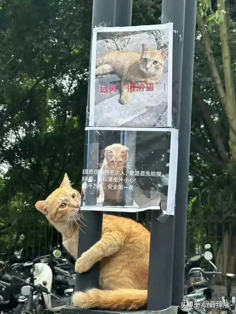 瞎扯 · 有什么有意思的大学名称缩写?