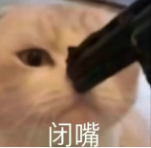 蚂蚁为什么会被带电的充电接口吸引聚集?它们不会被电吗?