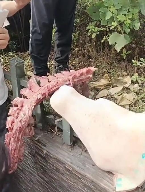 自贡富顺一小学食堂被举报使用劣质肉,官方通报:原辅料已就地封存,正在检验检测