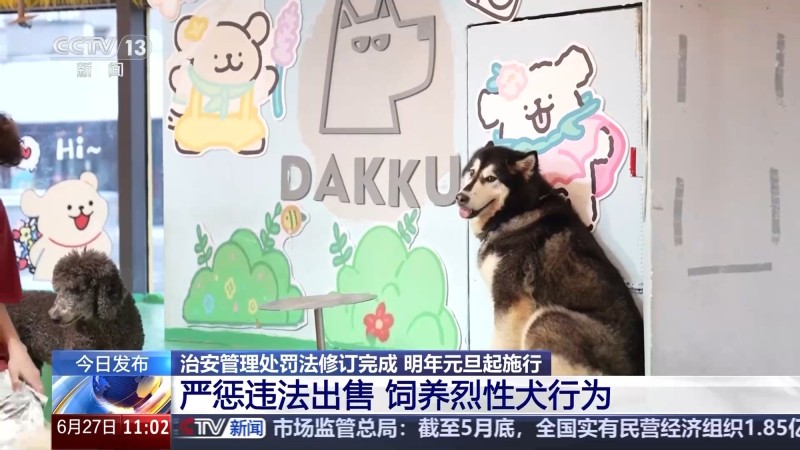 整治恶犬伤人  新修订的治安管理处罚法新在哪？