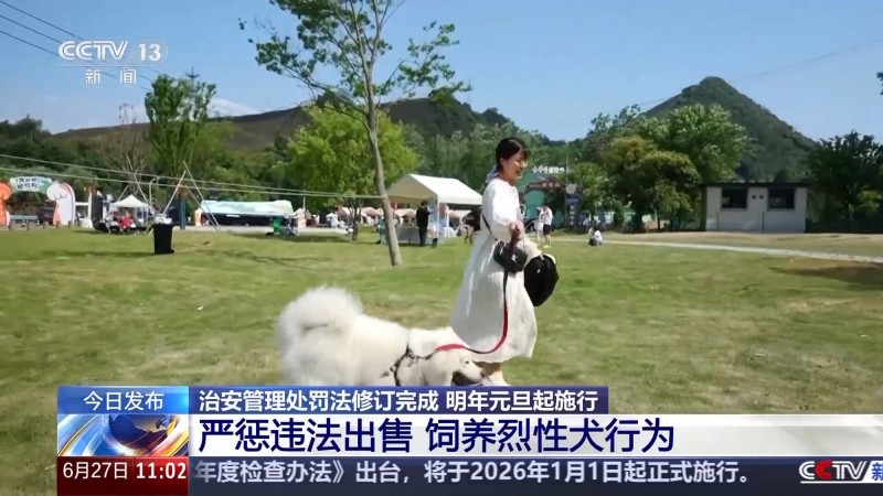 整治恶犬伤人  新修订的治安管理处罚法新在哪？