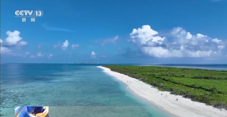 海湾“变美”关键在哪？看中国方案呵护一抹蔚蓝